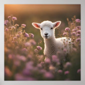 美しい子羊 ポスター (正面)