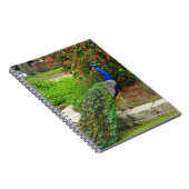 美しい孔雀および花のノート ノートブック (右側)