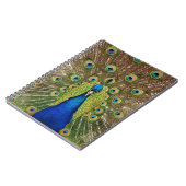 美しい孔雀と尾羽のプリント ノートブック (左側)