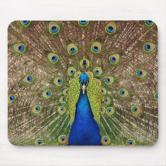 美しい孔雀と羽のプリントmousepaad マウスパッド (正面)