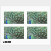 美しい孔雀のステッカー 長方形シール (シート)