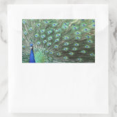 美しい孔雀のステッカー 長方形シール (バッグ)