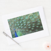 美しい孔雀のステッカー 長方形シール (封筒)