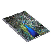 美しい孔雀の広がるカラフル羽 ノートブック (右側)