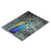 美しい孔雀の広がるカラフル羽 ノートブック (左側)