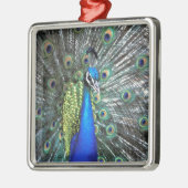 美しい孔雀の広がるカラフル羽 メタルオーナメント (左)