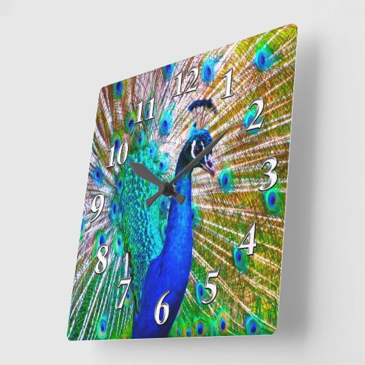 美しい孔雀の時計または写真への変更 スクエア壁時計 (傾斜)