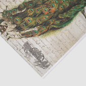 美しい孔雀の短命なもののコラージュ 薄葉紙 (詳細)