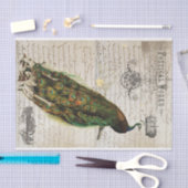 美しい孔雀の短命なもののコラージュ 薄葉紙 (クラフト)