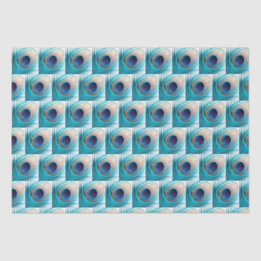 美しい孔雀の羽と名前 薄葉紙 (正面)