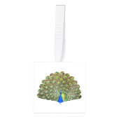 美しい孔雀の羽 キューブオーナメント (正面)