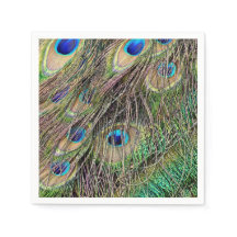 美しい孔雀の羽