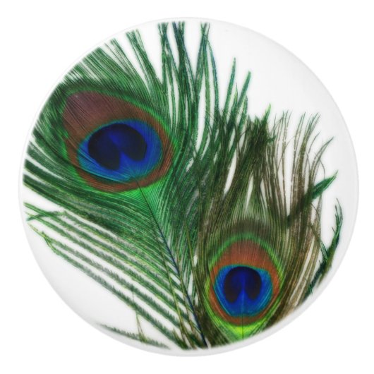 美しい孔雀の羽 セラミックノブ (正面)