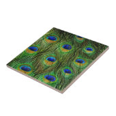 美しい孔雀の羽 タイル (側面)