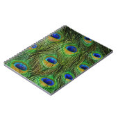 美しい孔雀の羽 ノートブック (左側)
