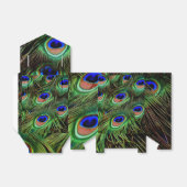 美しい孔雀の羽 フェイバーボックス (折り畳みなし)