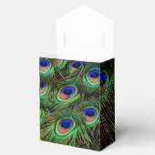 美しい孔雀の羽 フェイバーボックス (オープン)