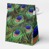 美しい孔雀の羽 フェイバーボックス (裏面サイド)