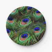 美しい孔雀の羽 ペーパープレート (正面)