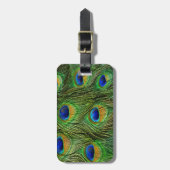 美しい孔雀の羽 ラゲッジタグ (正面縦)