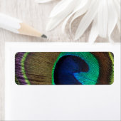 美しい孔雀の羽 ラベル (インサイチュ)