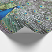 美しい孔雀の鳥の羽のカラフルの羽 ラッピングペーパー (角)