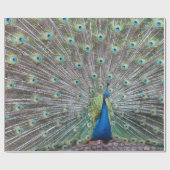 美しい孔雀の鳥の羽のカラフルの羽 ラッピングペーパー (フラット)
