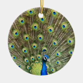 美しい孔雀の鳥 セラミックオーナメント