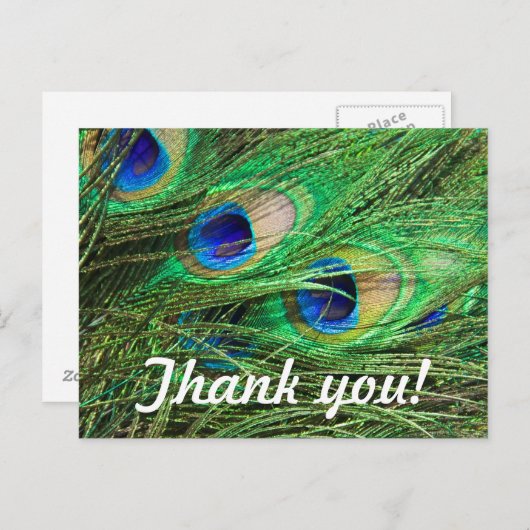 美しい孔雀カスタマイズ可能サンキューカード ポストカード (正面/裏面)