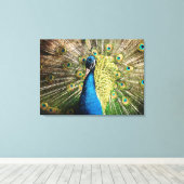 美しい孔雀 キャンバスプリント (インサイチュ (ウッドフロア))