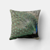 美しい孔雀 クッション (裏面)