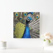 美しい孔雀 スクエア壁時計 (ホーム)