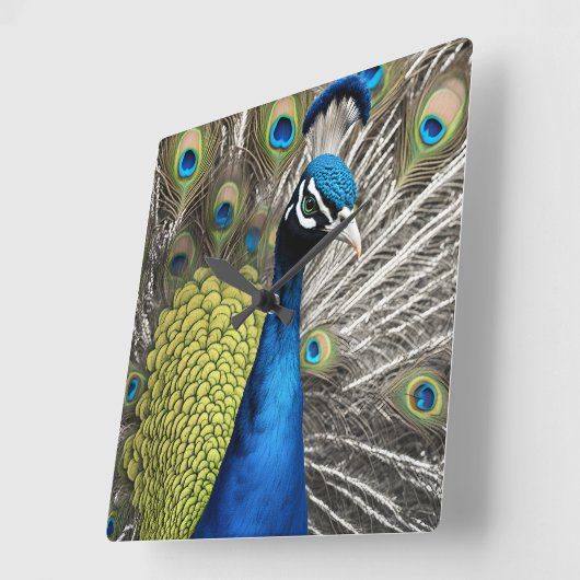 美しい孔雀 スクエア壁時計 (傾斜)