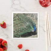 美しい孔雀 スタンダードカクテルナプキン (インサイチュ)