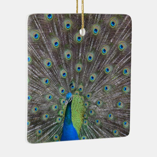 美しい孔雀 セラミックオーナメント (右)