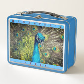 美しい孔雀（パーソナライズ名）メタルランチ メタルランチボックス (正面)