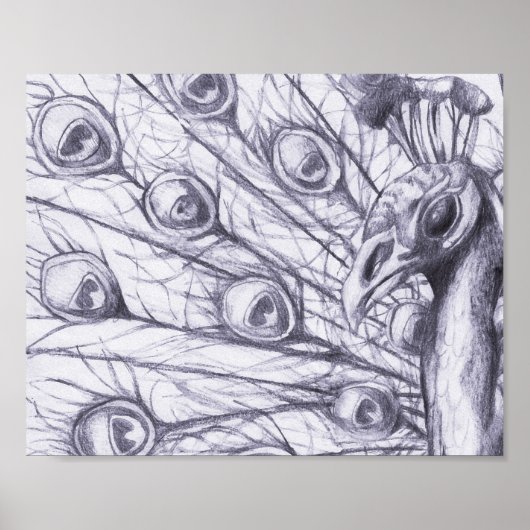 美しい孔雀 ポスター (正面)