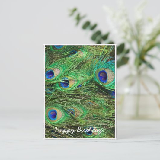 美しい孔雀 ポストカード (スタンド正面)