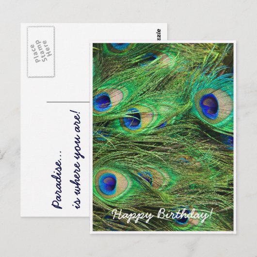美しい孔雀 ポストカード (正面/裏面)