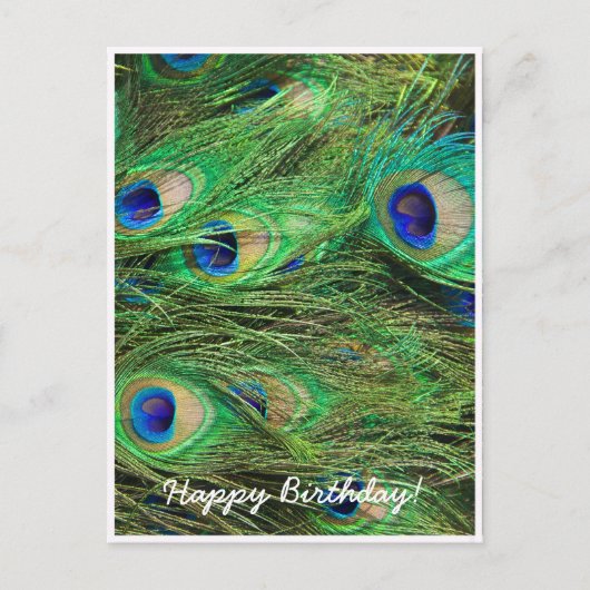 美しい孔雀 ポストカード (正面)