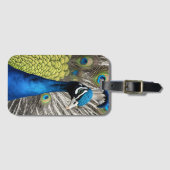 美しい孔雀 ラゲッジタグ (正面横)