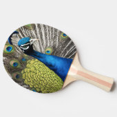 美しい孔雀 卓球ラケット (横)