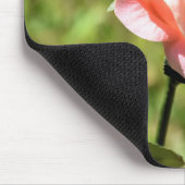 美しい完璧なピンクのバラの花 マウスパッド (コーナー)