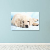 美しい小さな子犬 キャンバスプリント (インサイチュ (ウッドフロア))