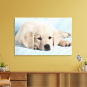 美しい小さな子犬 キャンバスプリント (インサイチュ (リビング))