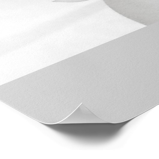 美しい少女 ポスター (角)