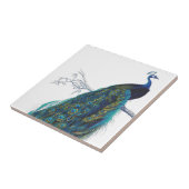 美しい尾羽を持つ青い孔雀 タイル (側面)