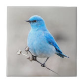 美しい山のブルーバードオンザタンジー タイル (正面)