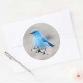 美しい山のブルーバード ラウンドシール (封筒)