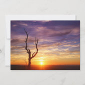 美しい山の夕日と木の自然写真 ノートカード (正面)